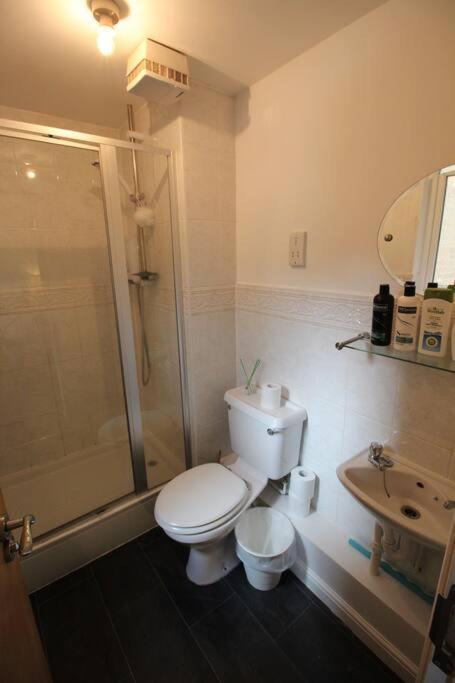 3 Bedroom Flat 10 Mins Walk To Bay And City Center Free Parking Cardiff Bagian luar foto